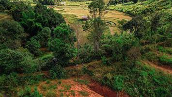 BIB: 
                            <button type="button" onclick="openModal(19369856)" class="btn btn-primary btn-sm float-right btn-popup" data-toggle="modal" data-target=".modal-high-quality">
                        <i class="fas fa-shopping-cart"></i> Add to Cart
                    </button>
                                            <button type="button" onclick="isThisMe(19369856, true)" class="btn btn-success btn-sm float-right btn-popup btn-isme hidden" data-toggle="tooltip" data-placement="bottom" title="นี่คือรูปของคุณใช่ไหม คลิกที่นี่เพื่อเอาเข้าอัลบั้ม">
                        <i class="fas fa-plus"></i> Add to album
                    </button>
                    <button type="button" onclick="isThisMe(19369856, false)" class="btn btn-warning btn-sm float-right btn-popup btn-isnotme hidden">
                        <i class="fas fa-ban"></i> Remove from album
                    </button>