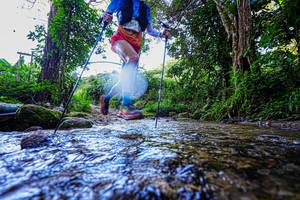 BIB: 
                            <button type="button" onclick="openModal(19370948)" class="btn btn-primary btn-sm float-right btn-popup" data-toggle="modal" data-target=".modal-high-quality">
                        <i class="fas fa-shopping-cart"></i> Add to Cart
                    </button>
                                            <button type="button" onclick="isThisMe(19370948, true)" class="btn btn-success btn-sm float-right btn-popup btn-isme hidden" data-toggle="tooltip" data-placement="bottom" title="นี่คือรูปของคุณใช่ไหม คลิกที่นี่เพื่อเอาเข้าอัลบั้ม">
                        <i class="fas fa-plus"></i> Add to album
                    </button>
                    <button type="button" onclick="isThisMe(19370948, false)" class="btn btn-warning btn-sm float-right btn-popup btn-isnotme hidden">
                        <i class="fas fa-ban"></i> Remove from album
                    </button>