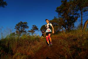 BIB: 
                            <button type="button" onclick="openModal(19371292)" class="btn btn-primary btn-sm float-right btn-popup" data-toggle="modal" data-target=".modal-high-quality">
                        <i class="fas fa-shopping-cart"></i> Add to Cart
                    </button>
                                            <button type="button" onclick="isThisMe(19371292, true)" class="btn btn-success btn-sm float-right btn-popup btn-isme hidden" data-toggle="tooltip" data-placement="bottom" title="นี่คือรูปของคุณใช่ไหม คลิกที่นี่เพื่อเอาเข้าอัลบั้ม">
                        <i class="fas fa-plus"></i> Add to album
                    </button>
                    <button type="button" onclick="isThisMe(19371292, false)" class="btn btn-warning btn-sm float-right btn-popup btn-isnotme hidden">
                        <i class="fas fa-ban"></i> Remove from album
                    </button>