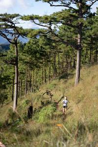 BIB: 
                            <button type="button" onclick="openModal(19369651)" class="btn btn-primary btn-sm float-right btn-popup" data-toggle="modal" data-target=".modal-high-quality">
                        <i class="fas fa-shopping-cart"></i> Add to Cart
                    </button>
                                            <button type="button" onclick="isThisMe(19369651, true)" class="btn btn-success btn-sm float-right btn-popup btn-isme hidden" data-toggle="tooltip" data-placement="bottom" title="นี่คือรูปของคุณใช่ไหม คลิกที่นี่เพื่อเอาเข้าอัลบั้ม">
                        <i class="fas fa-plus"></i> Add to album
                    </button>
                    <button type="button" onclick="isThisMe(19369651, false)" class="btn btn-warning btn-sm float-right btn-popup btn-isnotme hidden">
                        <i class="fas fa-ban"></i> Remove from album
                    </button>