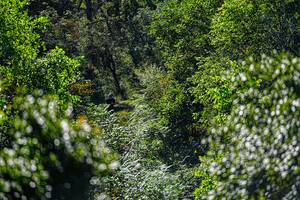 BIB: 
                            <button type="button" onclick="openModal(19371036)" class="btn btn-primary btn-sm float-right btn-popup" data-toggle="modal" data-target=".modal-high-quality">
                        <i class="fas fa-shopping-cart"></i> Add to Cart
                    </button>
                                            <button type="button" onclick="isThisMe(19371036, true)" class="btn btn-success btn-sm float-right btn-popup btn-isme hidden" data-toggle="tooltip" data-placement="bottom" title="นี่คือรูปของคุณใช่ไหม คลิกที่นี่เพื่อเอาเข้าอัลบั้ม">
                        <i class="fas fa-plus"></i> Add to album
                    </button>
                    <button type="button" onclick="isThisMe(19371036, false)" class="btn btn-warning btn-sm float-right btn-popup btn-isnotme hidden">
                        <i class="fas fa-ban"></i> Remove from album
                    </button>