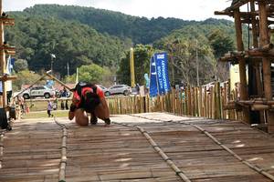 BIB: 1800
                            <button type="button" onclick="openModal(19370712)" class="btn btn-primary btn-sm float-right btn-popup" data-toggle="modal" data-target=".modal-high-quality">
                        <i class="fas fa-shopping-cart"></i> Add to Cart
                    </button>
                                            <button type="button" onclick="isThisMe(19370712, true)" class="btn btn-success btn-sm float-right btn-popup btn-isme hidden" data-toggle="tooltip" data-placement="bottom" title="นี่คือรูปของคุณใช่ไหม คลิกที่นี่เพื่อเอาเข้าอัลบั้ม">
                        <i class="fas fa-plus"></i> Add to album
                    </button>
                    <button type="button" onclick="isThisMe(19370712, false)" class="btn btn-warning btn-sm float-right btn-popup btn-isnotme hidden">
                        <i class="fas fa-ban"></i> Remove from album
                    </button>