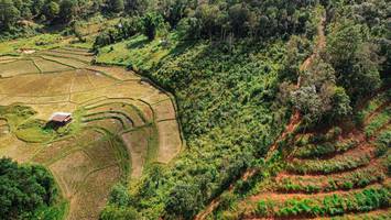 BIB: 
                            <button type="button" onclick="openModal(19369849)" class="btn btn-primary btn-sm float-right btn-popup" data-toggle="modal" data-target=".modal-high-quality">
                        <i class="fas fa-shopping-cart"></i> Add to Cart
                    </button>
                                            <button type="button" onclick="isThisMe(19369849, true)" class="btn btn-success btn-sm float-right btn-popup btn-isme hidden" data-toggle="tooltip" data-placement="bottom" title="นี่คือรูปของคุณใช่ไหม คลิกที่นี่เพื่อเอาเข้าอัลบั้ม">
                        <i class="fas fa-plus"></i> Add to album
                    </button>
                    <button type="button" onclick="isThisMe(19369849, false)" class="btn btn-warning btn-sm float-right btn-popup btn-isnotme hidden">
                        <i class="fas fa-ban"></i> Remove from album
                    </button>