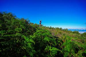 BIB: 
                            <button type="button" onclick="openModal(19371009)" class="btn btn-primary btn-sm float-right btn-popup" data-toggle="modal" data-target=".modal-high-quality">
                        <i class="fas fa-shopping-cart"></i> Add to Cart
                    </button>
                                            <button type="button" onclick="isThisMe(19371009, true)" class="btn btn-success btn-sm float-right btn-popup btn-isme hidden" data-toggle="tooltip" data-placement="bottom" title="นี่คือรูปของคุณใช่ไหม คลิกที่นี่เพื่อเอาเข้าอัลบั้ม">
                        <i class="fas fa-plus"></i> Add to album
                    </button>
                    <button type="button" onclick="isThisMe(19371009, false)" class="btn btn-warning btn-sm float-right btn-popup btn-isnotme hidden">
                        <i class="fas fa-ban"></i> Remove from album
                    </button>