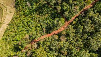 BIB: 
                            <button type="button" onclick="openModal(19369852)" class="btn btn-primary btn-sm float-right btn-popup" data-toggle="modal" data-target=".modal-high-quality">
                        <i class="fas fa-shopping-cart"></i> Add to Cart
                    </button>
                                            <button type="button" onclick="isThisMe(19369852, true)" class="btn btn-success btn-sm float-right btn-popup btn-isme hidden" data-toggle="tooltip" data-placement="bottom" title="นี่คือรูปของคุณใช่ไหม คลิกที่นี่เพื่อเอาเข้าอัลบั้ม">
                        <i class="fas fa-plus"></i> Add to album
                    </button>
                    <button type="button" onclick="isThisMe(19369852, false)" class="btn btn-warning btn-sm float-right btn-popup btn-isnotme hidden">
                        <i class="fas fa-ban"></i> Remove from album
                    </button>