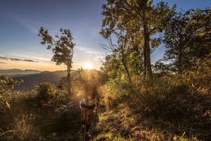 BIB: 
                            <button type="button" onclick="openModal(19369640)" class="btn btn-primary btn-sm float-right btn-popup" data-toggle="modal" data-target=".modal-high-quality">
                        <i class="fas fa-shopping-cart"></i> Add to Cart
                    </button>
                                            <button type="button" onclick="isThisMe(19369640, true)" class="btn btn-success btn-sm float-right btn-popup btn-isme hidden" data-toggle="tooltip" data-placement="bottom" title="นี่คือรูปของคุณใช่ไหม คลิกที่นี่เพื่อเอาเข้าอัลบั้ม">
                        <i class="fas fa-plus"></i> Add to album
                    </button>
                    <button type="button" onclick="isThisMe(19369640, false)" class="btn btn-warning btn-sm float-right btn-popup btn-isnotme hidden">
                        <i class="fas fa-ban"></i> Remove from album
                    </button>