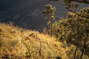 BIB: 
                            <button type="button" onclick="openModal(19369629)" class="btn btn-primary btn-sm float-right btn-popup" data-toggle="modal" data-target=".modal-high-quality">
                        <i class="fas fa-shopping-cart"></i> Add to Cart
                    </button>
                                            <button type="button" onclick="isThisMe(19369629, true)" class="btn btn-success btn-sm float-right btn-popup btn-isme hidden" data-toggle="tooltip" data-placement="bottom" title="นี่คือรูปของคุณใช่ไหม คลิกที่นี่เพื่อเอาเข้าอัลบั้ม">
                        <i class="fas fa-plus"></i> Add to album
                    </button>
                    <button type="button" onclick="isThisMe(19369629, false)" class="btn btn-warning btn-sm float-right btn-popup btn-isnotme hidden">
                        <i class="fas fa-ban"></i> Remove from album
                    </button>