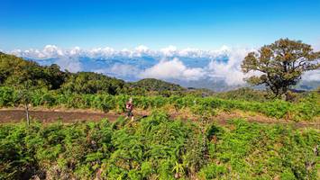 BIB: 
                            <button type="button" onclick="openModal(19369816)" class="btn btn-primary btn-sm float-right btn-popup" data-toggle="modal" data-target=".modal-high-quality">
                        <i class="fas fa-shopping-cart"></i> Add to Cart
                    </button>
                                            <button type="button" onclick="isThisMe(19369816, true)" class="btn btn-success btn-sm float-right btn-popup btn-isme hidden" data-toggle="tooltip" data-placement="bottom" title="นี่คือรูปของคุณใช่ไหม คลิกที่นี่เพื่อเอาเข้าอัลบั้ม">
                        <i class="fas fa-plus"></i> Add to album
                    </button>
                    <button type="button" onclick="isThisMe(19369816, false)" class="btn btn-warning btn-sm float-right btn-popup btn-isnotme hidden">
                        <i class="fas fa-ban"></i> Remove from album
                    </button>