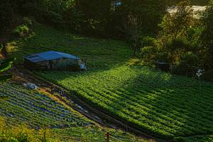 BIB: 
                            <button type="button" onclick="openModal(19370947)" class="btn btn-primary btn-sm float-right btn-popup" data-toggle="modal" data-target=".modal-high-quality">
                        <i class="fas fa-shopping-cart"></i> Add to Cart
                    </button>
                                            <button type="button" onclick="isThisMe(19370947, true)" class="btn btn-success btn-sm float-right btn-popup btn-isme hidden" data-toggle="tooltip" data-placement="bottom" title="นี่คือรูปของคุณใช่ไหม คลิกที่นี่เพื่อเอาเข้าอัลบั้ม">
                        <i class="fas fa-plus"></i> Add to album
                    </button>
                    <button type="button" onclick="isThisMe(19370947, false)" class="btn btn-warning btn-sm float-right btn-popup btn-isnotme hidden">
                        <i class="fas fa-ban"></i> Remove from album
                    </button>