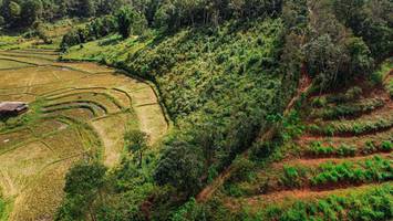 BIB: 
                            <button type="button" onclick="openModal(19369850)" class="btn btn-primary btn-sm float-right btn-popup" data-toggle="modal" data-target=".modal-high-quality">
                        <i class="fas fa-shopping-cart"></i> Add to Cart
                    </button>
                                            <button type="button" onclick="isThisMe(19369850, true)" class="btn btn-success btn-sm float-right btn-popup btn-isme hidden" data-toggle="tooltip" data-placement="bottom" title="นี่คือรูปของคุณใช่ไหม คลิกที่นี่เพื่อเอาเข้าอัลบั้ม">
                        <i class="fas fa-plus"></i> Add to album
                    </button>
                    <button type="button" onclick="isThisMe(19369850, false)" class="btn btn-warning btn-sm float-right btn-popup btn-isnotme hidden">
                        <i class="fas fa-ban"></i> Remove from album
                    </button>