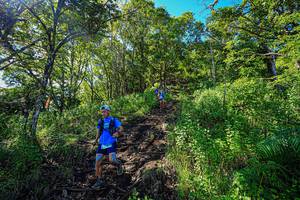 BIB: 
                            <button type="button" onclick="openModal(19371115)" class="btn btn-primary btn-sm float-right btn-popup" data-toggle="modal" data-target=".modal-high-quality">
                        <i class="fas fa-shopping-cart"></i> Add to Cart
                    </button>
                                            <button type="button" onclick="isThisMe(19371115, true)" class="btn btn-success btn-sm float-right btn-popup btn-isme hidden" data-toggle="tooltip" data-placement="bottom" title="นี่คือรูปของคุณใช่ไหม คลิกที่นี่เพื่อเอาเข้าอัลบั้ม">
                        <i class="fas fa-plus"></i> Add to album
                    </button>
                    <button type="button" onclick="isThisMe(19371115, false)" class="btn btn-warning btn-sm float-right btn-popup btn-isnotme hidden">
                        <i class="fas fa-ban"></i> Remove from album
                    </button>