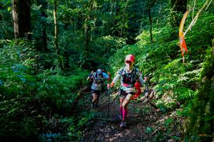 BIB: 
                            <button type="button" onclick="openModal(19371575)" class="btn btn-primary btn-sm float-right btn-popup" data-toggle="modal" data-target=".modal-high-quality">
                        <i class="fas fa-shopping-cart"></i> Add to Cart
                    </button>
                                            <button type="button" onclick="isThisMe(19371575, true)" class="btn btn-success btn-sm float-right btn-popup btn-isme hidden" data-toggle="tooltip" data-placement="bottom" title="นี่คือรูปของคุณใช่ไหม คลิกที่นี่เพื่อเอาเข้าอัลบั้ม">
                        <i class="fas fa-plus"></i> Add to album
                    </button>
                    <button type="button" onclick="isThisMe(19371575, false)" class="btn btn-warning btn-sm float-right btn-popup btn-isnotme hidden">
                        <i class="fas fa-ban"></i> Remove from album
                    </button>