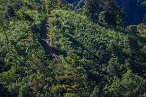 BIB: 
                            <button type="button" onclick="openModal(19371025)" class="btn btn-primary btn-sm float-right btn-popup" data-toggle="modal" data-target=".modal-high-quality">
                        <i class="fas fa-shopping-cart"></i> Add to Cart
                    </button>
                                            <button type="button" onclick="isThisMe(19371025, true)" class="btn btn-success btn-sm float-right btn-popup btn-isme hidden" data-toggle="tooltip" data-placement="bottom" title="นี่คือรูปของคุณใช่ไหม คลิกที่นี่เพื่อเอาเข้าอัลบั้ม">
                        <i class="fas fa-plus"></i> Add to album
                    </button>
                    <button type="button" onclick="isThisMe(19371025, false)" class="btn btn-warning btn-sm float-right btn-popup btn-isnotme hidden">
                        <i class="fas fa-ban"></i> Remove from album
                    </button>