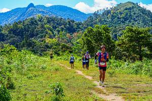 BIB: 
                            <button type="button" onclick="openModal(19371137)" class="btn btn-primary btn-sm float-right btn-popup" data-toggle="modal" data-target=".modal-high-quality">
                        <i class="fas fa-shopping-cart"></i> Add to Cart
                    </button>
                                            <button type="button" onclick="isThisMe(19371137, true)" class="btn btn-success btn-sm float-right btn-popup btn-isme hidden" data-toggle="tooltip" data-placement="bottom" title="นี่คือรูปของคุณใช่ไหม คลิกที่นี่เพื่อเอาเข้าอัลบั้ม">
                        <i class="fas fa-plus"></i> Add to album
                    </button>
                    <button type="button" onclick="isThisMe(19371137, false)" class="btn btn-warning btn-sm float-right btn-popup btn-isnotme hidden">
                        <i class="fas fa-ban"></i> Remove from album
                    </button>