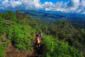 BIB: 
                            <button type="button" onclick="openModal(19371110)" class="btn btn-primary btn-sm float-right btn-popup" data-toggle="modal" data-target=".modal-high-quality">
                        <i class="fas fa-shopping-cart"></i> Add to Cart
                    </button>
                                            <button type="button" onclick="isThisMe(19371110, true)" class="btn btn-success btn-sm float-right btn-popup btn-isme hidden" data-toggle="tooltip" data-placement="bottom" title="นี่คือรูปของคุณใช่ไหม คลิกที่นี่เพื่อเอาเข้าอัลบั้ม">
                        <i class="fas fa-plus"></i> Add to album
                    </button>
                    <button type="button" onclick="isThisMe(19371110, false)" class="btn btn-warning btn-sm float-right btn-popup btn-isnotme hidden">
                        <i class="fas fa-ban"></i> Remove from album
                    </button>