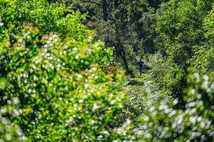 BIB: 
                            <button type="button" onclick="openModal(19371039)" class="btn btn-primary btn-sm float-right btn-popup" data-toggle="modal" data-target=".modal-high-quality">
                        <i class="fas fa-shopping-cart"></i> Add to Cart
                    </button>
                                            <button type="button" onclick="isThisMe(19371039, true)" class="btn btn-success btn-sm float-right btn-popup btn-isme hidden" data-toggle="tooltip" data-placement="bottom" title="นี่คือรูปของคุณใช่ไหม คลิกที่นี่เพื่อเอาเข้าอัลบั้ม">
                        <i class="fas fa-plus"></i> Add to album
                    </button>
                    <button type="button" onclick="isThisMe(19371039, false)" class="btn btn-warning btn-sm float-right btn-popup btn-isnotme hidden">
                        <i class="fas fa-ban"></i> Remove from album
                    </button>