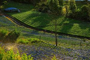 BIB: 
                            <button type="button" onclick="openModal(19370945)" class="btn btn-primary btn-sm float-right btn-popup" data-toggle="modal" data-target=".modal-high-quality">
                        <i class="fas fa-shopping-cart"></i> Add to Cart
                    </button>
                                            <button type="button" onclick="isThisMe(19370945, true)" class="btn btn-success btn-sm float-right btn-popup btn-isme hidden" data-toggle="tooltip" data-placement="bottom" title="นี่คือรูปของคุณใช่ไหม คลิกที่นี่เพื่อเอาเข้าอัลบั้ม">
                        <i class="fas fa-plus"></i> Add to album
                    </button>
                    <button type="button" onclick="isThisMe(19370945, false)" class="btn btn-warning btn-sm float-right btn-popup btn-isnotme hidden">
                        <i class="fas fa-ban"></i> Remove from album
                    </button>