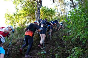 BIB: 
                            <button type="button" onclick="openModal(19371377)" class="btn btn-primary btn-sm float-right btn-popup" data-toggle="modal" data-target=".modal-high-quality">
                        <i class="fas fa-shopping-cart"></i> Add to Cart
                    </button>
                                            <button type="button" onclick="isThisMe(19371377, true)" class="btn btn-success btn-sm float-right btn-popup btn-isme hidden" data-toggle="tooltip" data-placement="bottom" title="นี่คือรูปของคุณใช่ไหม คลิกที่นี่เพื่อเอาเข้าอัลบั้ม">
                        <i class="fas fa-plus"></i> Add to album
                    </button>
                    <button type="button" onclick="isThisMe(19371377, false)" class="btn btn-warning btn-sm float-right btn-popup btn-isnotme hidden">
                        <i class="fas fa-ban"></i> Remove from album
                    </button>