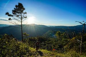 BIB: 
                            <button type="button" onclick="openModal(19370056)" class="btn btn-primary btn-sm float-right btn-popup" data-toggle="modal" data-target=".modal-high-quality">
                        <i class="fas fa-shopping-cart"></i> Add to Cart
                    </button>
                                            <button type="button" onclick="isThisMe(19370056, true)" class="btn btn-success btn-sm float-right btn-popup btn-isme hidden" data-toggle="tooltip" data-placement="bottom" title="นี่คือรูปของคุณใช่ไหม คลิกที่นี่เพื่อเอาเข้าอัลบั้ม">
                        <i class="fas fa-plus"></i> Add to album
                    </button>
                    <button type="button" onclick="isThisMe(19370056, false)" class="btn btn-warning btn-sm float-right btn-popup btn-isnotme hidden">
                        <i class="fas fa-ban"></i> Remove from album
                    </button>