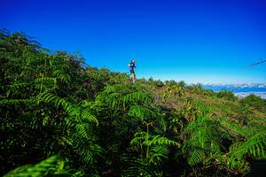 BIB: 
                            <button type="button" onclick="openModal(19371007)" class="btn btn-primary btn-sm float-right btn-popup" data-toggle="modal" data-target=".modal-high-quality">
                        <i class="fas fa-shopping-cart"></i> Add to Cart
                    </button>
                                            <button type="button" onclick="isThisMe(19371007, true)" class="btn btn-success btn-sm float-right btn-popup btn-isme hidden" data-toggle="tooltip" data-placement="bottom" title="นี่คือรูปของคุณใช่ไหม คลิกที่นี่เพื่อเอาเข้าอัลบั้ม">
                        <i class="fas fa-plus"></i> Add to album
                    </button>
                    <button type="button" onclick="isThisMe(19371007, false)" class="btn btn-warning btn-sm float-right btn-popup btn-isnotme hidden">
                        <i class="fas fa-ban"></i> Remove from album
                    </button>