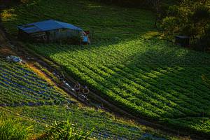 BIB: 
                            <button type="button" onclick="openModal(19370940)" class="btn btn-primary btn-sm float-right btn-popup" data-toggle="modal" data-target=".modal-high-quality">
                        <i class="fas fa-shopping-cart"></i> Add to Cart
                    </button>
                                            <button type="button" onclick="isThisMe(19370940, true)" class="btn btn-success btn-sm float-right btn-popup btn-isme hidden" data-toggle="tooltip" data-placement="bottom" title="นี่คือรูปของคุณใช่ไหม คลิกที่นี่เพื่อเอาเข้าอัลบั้ม">
                        <i class="fas fa-plus"></i> Add to album
                    </button>
                    <button type="button" onclick="isThisMe(19370940, false)" class="btn btn-warning btn-sm float-right btn-popup btn-isnotme hidden">
                        <i class="fas fa-ban"></i> Remove from album
                    </button>