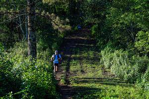 BIB: 
                            <button type="button" onclick="openModal(19370969)" class="btn btn-primary btn-sm float-right btn-popup" data-toggle="modal" data-target=".modal-high-quality">
                        <i class="fas fa-shopping-cart"></i> Add to Cart
                    </button>
                                            <button type="button" onclick="isThisMe(19370969, true)" class="btn btn-success btn-sm float-right btn-popup btn-isme hidden" data-toggle="tooltip" data-placement="bottom" title="นี่คือรูปของคุณใช่ไหม คลิกที่นี่เพื่อเอาเข้าอัลบั้ม">
                        <i class="fas fa-plus"></i> Add to album
                    </button>
                    <button type="button" onclick="isThisMe(19370969, false)" class="btn btn-warning btn-sm float-right btn-popup btn-isnotme hidden">
                        <i class="fas fa-ban"></i> Remove from album
                    </button>