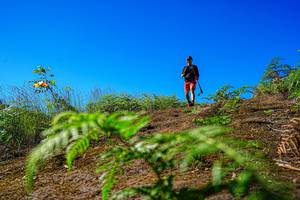 BIB: 
                            <button type="button" onclick="openModal(19371078)" class="btn btn-primary btn-sm float-right btn-popup" data-toggle="modal" data-target=".modal-high-quality">
                        <i class="fas fa-shopping-cart"></i> Add to Cart
                    </button>
                                            <button type="button" onclick="isThisMe(19371078, true)" class="btn btn-success btn-sm float-right btn-popup btn-isme hidden" data-toggle="tooltip" data-placement="bottom" title="นี่คือรูปของคุณใช่ไหม คลิกที่นี่เพื่อเอาเข้าอัลบั้ม">
                        <i class="fas fa-plus"></i> Add to album
                    </button>
                    <button type="button" onclick="isThisMe(19371078, false)" class="btn btn-warning btn-sm float-right btn-popup btn-isnotme hidden">
                        <i class="fas fa-ban"></i> Remove from album
                    </button>