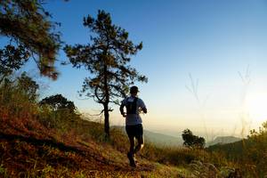 BIB: 
                            <button type="button" onclick="openModal(19371260)" class="btn btn-primary btn-sm float-right btn-popup" data-toggle="modal" data-target=".modal-high-quality">
                        <i class="fas fa-shopping-cart"></i> Add to Cart
                    </button>
                                            <button type="button" onclick="isThisMe(19371260, true)" class="btn btn-success btn-sm float-right btn-popup btn-isme hidden" data-toggle="tooltip" data-placement="bottom" title="นี่คือรูปของคุณใช่ไหม คลิกที่นี่เพื่อเอาเข้าอัลบั้ม">
                        <i class="fas fa-plus"></i> Add to album
                    </button>
                    <button type="button" onclick="isThisMe(19371260, false)" class="btn btn-warning btn-sm float-right btn-popup btn-isnotme hidden">
                        <i class="fas fa-ban"></i> Remove from album
                    </button>