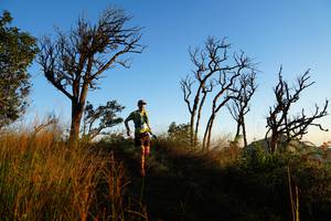 BIB: 
                            <button type="button" onclick="openModal(19371243)" class="btn btn-primary btn-sm float-right btn-popup" data-toggle="modal" data-target=".modal-high-quality">
                        <i class="fas fa-shopping-cart"></i> Add to Cart
                    </button>
                                            <button type="button" onclick="isThisMe(19371243, true)" class="btn btn-success btn-sm float-right btn-popup btn-isme hidden" data-toggle="tooltip" data-placement="bottom" title="นี่คือรูปของคุณใช่ไหม คลิกที่นี่เพื่อเอาเข้าอัลบั้ม">
                        <i class="fas fa-plus"></i> Add to album
                    </button>
                    <button type="button" onclick="isThisMe(19371243, false)" class="btn btn-warning btn-sm float-right btn-popup btn-isnotme hidden">
                        <i class="fas fa-ban"></i> Remove from album
                    </button>