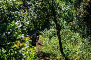 BIB: 
                            <button type="button" onclick="openModal(19371040)" class="btn btn-primary btn-sm float-right btn-popup" data-toggle="modal" data-target=".modal-high-quality">
                        <i class="fas fa-shopping-cart"></i> Add to Cart
                    </button>
                                            <button type="button" onclick="isThisMe(19371040, true)" class="btn btn-success btn-sm float-right btn-popup btn-isme hidden" data-toggle="tooltip" data-placement="bottom" title="นี่คือรูปของคุณใช่ไหม คลิกที่นี่เพื่อเอาเข้าอัลบั้ม">
                        <i class="fas fa-plus"></i> Add to album
                    </button>
                    <button type="button" onclick="isThisMe(19371040, false)" class="btn btn-warning btn-sm float-right btn-popup btn-isnotme hidden">
                        <i class="fas fa-ban"></i> Remove from album
                    </button>