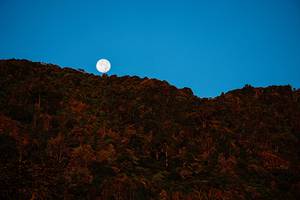 BIB: 
                            <button type="button" onclick="openModal(19370935)" class="btn btn-primary btn-sm float-right btn-popup" data-toggle="modal" data-target=".modal-high-quality">
                        <i class="fas fa-shopping-cart"></i> Add to Cart
                    </button>
                                            <button type="button" onclick="isThisMe(19370935, true)" class="btn btn-success btn-sm float-right btn-popup btn-isme hidden" data-toggle="tooltip" data-placement="bottom" title="นี่คือรูปของคุณใช่ไหม คลิกที่นี่เพื่อเอาเข้าอัลบั้ม">
                        <i class="fas fa-plus"></i> Add to album
                    </button>
                    <button type="button" onclick="isThisMe(19370935, false)" class="btn btn-warning btn-sm float-right btn-popup btn-isnotme hidden">
                        <i class="fas fa-ban"></i> Remove from album
                    </button>