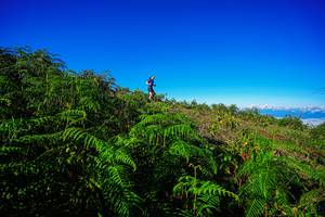 BIB: 
                            <button type="button" onclick="openModal(19371008)" class="btn btn-primary btn-sm float-right btn-popup" data-toggle="modal" data-target=".modal-high-quality">
                        <i class="fas fa-shopping-cart"></i> Add to Cart
                    </button>
                                            <button type="button" onclick="isThisMe(19371008, true)" class="btn btn-success btn-sm float-right btn-popup btn-isme hidden" data-toggle="tooltip" data-placement="bottom" title="นี่คือรูปของคุณใช่ไหม คลิกที่นี่เพื่อเอาเข้าอัลบั้ม">
                        <i class="fas fa-plus"></i> Add to album
                    </button>
                    <button type="button" onclick="isThisMe(19371008, false)" class="btn btn-warning btn-sm float-right btn-popup btn-isnotme hidden">
                        <i class="fas fa-ban"></i> Remove from album
                    </button>