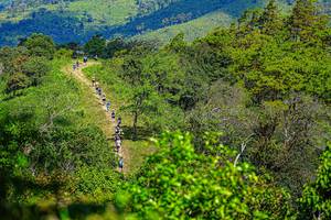 BIB: 
                            <button type="button" onclick="openModal(19371133)" class="btn btn-primary btn-sm float-right btn-popup" data-toggle="modal" data-target=".modal-high-quality">
                        <i class="fas fa-shopping-cart"></i> Add to Cart
                    </button>
                                            <button type="button" onclick="isThisMe(19371133, true)" class="btn btn-success btn-sm float-right btn-popup btn-isme hidden" data-toggle="tooltip" data-placement="bottom" title="นี่คือรูปของคุณใช่ไหม คลิกที่นี่เพื่อเอาเข้าอัลบั้ม">
                        <i class="fas fa-plus"></i> Add to album
                    </button>
                    <button type="button" onclick="isThisMe(19371133, false)" class="btn btn-warning btn-sm float-right btn-popup btn-isnotme hidden">
                        <i class="fas fa-ban"></i> Remove from album
                    </button>