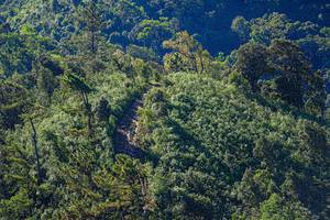 BIB: 
                            <button type="button" onclick="openModal(19371027)" class="btn btn-primary btn-sm float-right btn-popup" data-toggle="modal" data-target=".modal-high-quality">
                        <i class="fas fa-shopping-cart"></i> Add to Cart
                    </button>
                                            <button type="button" onclick="isThisMe(19371027, true)" class="btn btn-success btn-sm float-right btn-popup btn-isme hidden" data-toggle="tooltip" data-placement="bottom" title="นี่คือรูปของคุณใช่ไหม คลิกที่นี่เพื่อเอาเข้าอัลบั้ม">
                        <i class="fas fa-plus"></i> Add to album
                    </button>
                    <button type="button" onclick="isThisMe(19371027, false)" class="btn btn-warning btn-sm float-right btn-popup btn-isnotme hidden">
                        <i class="fas fa-ban"></i> Remove from album
                    </button>