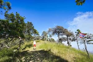 BIB: 
                            <button type="button" onclick="openModal(19370035)" class="btn btn-primary btn-sm float-right btn-popup" data-toggle="modal" data-target=".modal-high-quality">
                        <i class="fas fa-shopping-cart"></i> Add to Cart
                    </button>
                                            <button type="button" onclick="isThisMe(19370035, true)" class="btn btn-success btn-sm float-right btn-popup btn-isme hidden" data-toggle="tooltip" data-placement="bottom" title="นี่คือรูปของคุณใช่ไหม คลิกที่นี่เพื่อเอาเข้าอัลบั้ม">
                        <i class="fas fa-plus"></i> Add to album
                    </button>
                    <button type="button" onclick="isThisMe(19370035, false)" class="btn btn-warning btn-sm float-right btn-popup btn-isnotme hidden">
                        <i class="fas fa-ban"></i> Remove from album
                    </button>