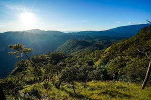 BIB: 
                            <button type="button" onclick="openModal(19370049)" class="btn btn-primary btn-sm float-right btn-popup" data-toggle="modal" data-target=".modal-high-quality">
                        <i class="fas fa-shopping-cart"></i> Add to Cart
                    </button>
                                            <button type="button" onclick="isThisMe(19370049, true)" class="btn btn-success btn-sm float-right btn-popup btn-isme hidden" data-toggle="tooltip" data-placement="bottom" title="นี่คือรูปของคุณใช่ไหม คลิกที่นี่เพื่อเอาเข้าอัลบั้ม">
                        <i class="fas fa-plus"></i> Add to album
                    </button>
                    <button type="button" onclick="isThisMe(19370049, false)" class="btn btn-warning btn-sm float-right btn-popup btn-isnotme hidden">
                        <i class="fas fa-ban"></i> Remove from album
                    </button>