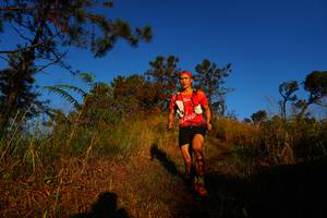 BIB: 
                            <button type="button" onclick="openModal(19371269)" class="btn btn-primary btn-sm float-right btn-popup" data-toggle="modal" data-target=".modal-high-quality">
                        <i class="fas fa-shopping-cart"></i> Add to Cart
                    </button>
                                            <button type="button" onclick="isThisMe(19371269, true)" class="btn btn-success btn-sm float-right btn-popup btn-isme hidden" data-toggle="tooltip" data-placement="bottom" title="นี่คือรูปของคุณใช่ไหม คลิกที่นี่เพื่อเอาเข้าอัลบั้ม">
                        <i class="fas fa-plus"></i> Add to album
                    </button>
                    <button type="button" onclick="isThisMe(19371269, false)" class="btn btn-warning btn-sm float-right btn-popup btn-isnotme hidden">
                        <i class="fas fa-ban"></i> Remove from album
                    </button>