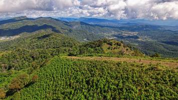 BIB: 
                            <button type="button" onclick="openModal(19369829)" class="btn btn-primary btn-sm float-right btn-popup" data-toggle="modal" data-target=".modal-high-quality">
                        <i class="fas fa-shopping-cart"></i> Add to Cart
                    </button>
                                            <button type="button" onclick="isThisMe(19369829, true)" class="btn btn-success btn-sm float-right btn-popup btn-isme hidden" data-toggle="tooltip" data-placement="bottom" title="นี่คือรูปของคุณใช่ไหม คลิกที่นี่เพื่อเอาเข้าอัลบั้ม">
                        <i class="fas fa-plus"></i> Add to album
                    </button>
                    <button type="button" onclick="isThisMe(19369829, false)" class="btn btn-warning btn-sm float-right btn-popup btn-isnotme hidden">
                        <i class="fas fa-ban"></i> Remove from album
                    </button>