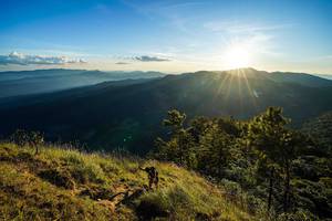 BIB: 
                            <button type="button" onclick="openModal(19370062)" class="btn btn-primary btn-sm float-right btn-popup" data-toggle="modal" data-target=".modal-high-quality">
                        <i class="fas fa-shopping-cart"></i> Add to Cart
                    </button>
                                            <button type="button" onclick="isThisMe(19370062, true)" class="btn btn-success btn-sm float-right btn-popup btn-isme hidden" data-toggle="tooltip" data-placement="bottom" title="นี่คือรูปของคุณใช่ไหม คลิกที่นี่เพื่อเอาเข้าอัลบั้ม">
                        <i class="fas fa-plus"></i> Add to album
                    </button>
                    <button type="button" onclick="isThisMe(19370062, false)" class="btn btn-warning btn-sm float-right btn-popup btn-isnotme hidden">
                        <i class="fas fa-ban"></i> Remove from album
                    </button>