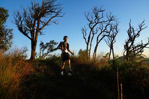 BIB: 
                            <button type="button" onclick="openModal(19371239)" class="btn btn-primary btn-sm float-right btn-popup" data-toggle="modal" data-target=".modal-high-quality">
                        <i class="fas fa-shopping-cart"></i> Add to Cart
                    </button>
                                            <button type="button" onclick="isThisMe(19371239, true)" class="btn btn-success btn-sm float-right btn-popup btn-isme hidden" data-toggle="tooltip" data-placement="bottom" title="นี่คือรูปของคุณใช่ไหม คลิกที่นี่เพื่อเอาเข้าอัลบั้ม">
                        <i class="fas fa-plus"></i> Add to album
                    </button>
                    <button type="button" onclick="isThisMe(19371239, false)" class="btn btn-warning btn-sm float-right btn-popup btn-isnotme hidden">
                        <i class="fas fa-ban"></i> Remove from album
                    </button>