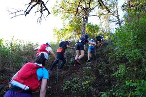 BIB: 
                            <button type="button" onclick="openModal(19371376)" class="btn btn-primary btn-sm float-right btn-popup" data-toggle="modal" data-target=".modal-high-quality">
                        <i class="fas fa-shopping-cart"></i> Add to Cart
                    </button>
                                            <button type="button" onclick="isThisMe(19371376, true)" class="btn btn-success btn-sm float-right btn-popup btn-isme hidden" data-toggle="tooltip" data-placement="bottom" title="นี่คือรูปของคุณใช่ไหม คลิกที่นี่เพื่อเอาเข้าอัลบั้ม">
                        <i class="fas fa-plus"></i> Add to album
                    </button>
                    <button type="button" onclick="isThisMe(19371376, false)" class="btn btn-warning btn-sm float-right btn-popup btn-isnotme hidden">
                        <i class="fas fa-ban"></i> Remove from album
                    </button>