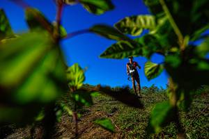 BIB: 
                            <button type="button" onclick="openModal(19371003)" class="btn btn-primary btn-sm float-right btn-popup" data-toggle="modal" data-target=".modal-high-quality">
                        <i class="fas fa-shopping-cart"></i> Add to Cart
                    </button>
                                            <button type="button" onclick="isThisMe(19371003, true)" class="btn btn-success btn-sm float-right btn-popup btn-isme hidden" data-toggle="tooltip" data-placement="bottom" title="นี่คือรูปของคุณใช่ไหม คลิกที่นี่เพื่อเอาเข้าอัลบั้ม">
                        <i class="fas fa-plus"></i> Add to album
                    </button>
                    <button type="button" onclick="isThisMe(19371003, false)" class="btn btn-warning btn-sm float-right btn-popup btn-isnotme hidden">
                        <i class="fas fa-ban"></i> Remove from album
                    </button>