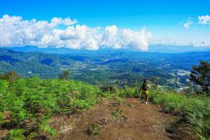 BIB: 
                            <button type="button" onclick="openModal(19371074)" class="btn btn-primary btn-sm float-right btn-popup" data-toggle="modal" data-target=".modal-high-quality">
                        <i class="fas fa-shopping-cart"></i> Add to Cart
                    </button>
                                            <button type="button" onclick="isThisMe(19371074, true)" class="btn btn-success btn-sm float-right btn-popup btn-isme hidden" data-toggle="tooltip" data-placement="bottom" title="นี่คือรูปของคุณใช่ไหม คลิกที่นี่เพื่อเอาเข้าอัลบั้ม">
                        <i class="fas fa-plus"></i> Add to album
                    </button>
                    <button type="button" onclick="isThisMe(19371074, false)" class="btn btn-warning btn-sm float-right btn-popup btn-isnotme hidden">
                        <i class="fas fa-ban"></i> Remove from album
                    </button>