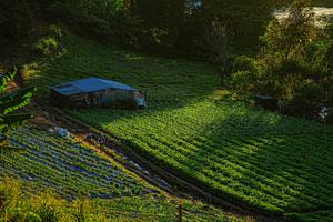 BIB: 
                            <button type="button" onclick="openModal(19370946)" class="btn btn-primary btn-sm float-right btn-popup" data-toggle="modal" data-target=".modal-high-quality">
                        <i class="fas fa-shopping-cart"></i> Add to Cart
                    </button>
                                            <button type="button" onclick="isThisMe(19370946, true)" class="btn btn-success btn-sm float-right btn-popup btn-isme hidden" data-toggle="tooltip" data-placement="bottom" title="นี่คือรูปของคุณใช่ไหม คลิกที่นี่เพื่อเอาเข้าอัลบั้ม">
                        <i class="fas fa-plus"></i> Add to album
                    </button>
                    <button type="button" onclick="isThisMe(19370946, false)" class="btn btn-warning btn-sm float-right btn-popup btn-isnotme hidden">
                        <i class="fas fa-ban"></i> Remove from album
                    </button>