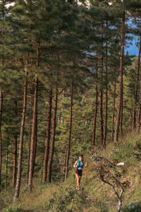 BIB: 
                            <button type="button" onclick="openModal(19369645)" class="btn btn-primary btn-sm float-right btn-popup" data-toggle="modal" data-target=".modal-high-quality">
                        <i class="fas fa-shopping-cart"></i> Add to Cart
                    </button>
                                            <button type="button" onclick="isThisMe(19369645, true)" class="btn btn-success btn-sm float-right btn-popup btn-isme hidden" data-toggle="tooltip" data-placement="bottom" title="นี่คือรูปของคุณใช่ไหม คลิกที่นี่เพื่อเอาเข้าอัลบั้ม">
                        <i class="fas fa-plus"></i> Add to album
                    </button>
                    <button type="button" onclick="isThisMe(19369645, false)" class="btn btn-warning btn-sm float-right btn-popup btn-isnotme hidden">
                        <i class="fas fa-ban"></i> Remove from album
                    </button>