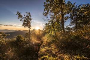 BIB: 
                            <button type="button" onclick="openModal(19369642)" class="btn btn-primary btn-sm float-right btn-popup" data-toggle="modal" data-target=".modal-high-quality">
                        <i class="fas fa-shopping-cart"></i> Add to Cart
                    </button>
                                            <button type="button" onclick="isThisMe(19369642, true)" class="btn btn-success btn-sm float-right btn-popup btn-isme hidden" data-toggle="tooltip" data-placement="bottom" title="นี่คือรูปของคุณใช่ไหม คลิกที่นี่เพื่อเอาเข้าอัลบั้ม">
                        <i class="fas fa-plus"></i> Add to album
                    </button>
                    <button type="button" onclick="isThisMe(19369642, false)" class="btn btn-warning btn-sm float-right btn-popup btn-isnotme hidden">
                        <i class="fas fa-ban"></i> Remove from album
                    </button>