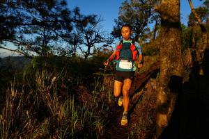 BIB: 
                            <button type="button" onclick="openModal(19371288)" class="btn btn-primary btn-sm float-right btn-popup" data-toggle="modal" data-target=".modal-high-quality">
                        <i class="fas fa-shopping-cart"></i> Add to Cart
                    </button>
                                            <button type="button" onclick="isThisMe(19371288, true)" class="btn btn-success btn-sm float-right btn-popup btn-isme hidden" data-toggle="tooltip" data-placement="bottom" title="นี่คือรูปของคุณใช่ไหม คลิกที่นี่เพื่อเอาเข้าอัลบั้ม">
                        <i class="fas fa-plus"></i> Add to album
                    </button>
                    <button type="button" onclick="isThisMe(19371288, false)" class="btn btn-warning btn-sm float-right btn-popup btn-isnotme hidden">
                        <i class="fas fa-ban"></i> Remove from album
                    </button>