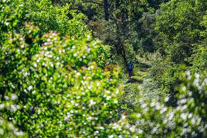 BIB: 
                            <button type="button" onclick="openModal(19371042)" class="btn btn-primary btn-sm float-right btn-popup" data-toggle="modal" data-target=".modal-high-quality">
                        <i class="fas fa-shopping-cart"></i> Add to Cart
                    </button>
                                            <button type="button" onclick="isThisMe(19371042, true)" class="btn btn-success btn-sm float-right btn-popup btn-isme hidden" data-toggle="tooltip" data-placement="bottom" title="นี่คือรูปของคุณใช่ไหม คลิกที่นี่เพื่อเอาเข้าอัลบั้ม">
                        <i class="fas fa-plus"></i> Add to album
                    </button>
                    <button type="button" onclick="isThisMe(19371042, false)" class="btn btn-warning btn-sm float-right btn-popup btn-isnotme hidden">
                        <i class="fas fa-ban"></i> Remove from album
                    </button>