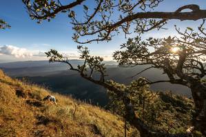 BIB: 
                            <button type="button" onclick="openModal(19369665)" class="btn btn-primary btn-sm float-right btn-popup" data-toggle="modal" data-target=".modal-high-quality">
                        <i class="fas fa-shopping-cart"></i> Add to Cart
                    </button>
                                            <button type="button" onclick="isThisMe(19369665, true)" class="btn btn-success btn-sm float-right btn-popup btn-isme hidden" data-toggle="tooltip" data-placement="bottom" title="นี่คือรูปของคุณใช่ไหม คลิกที่นี่เพื่อเอาเข้าอัลบั้ม">
                        <i class="fas fa-plus"></i> Add to album
                    </button>
                    <button type="button" onclick="isThisMe(19369665, false)" class="btn btn-warning btn-sm float-right btn-popup btn-isnotme hidden">
                        <i class="fas fa-ban"></i> Remove from album
                    </button>