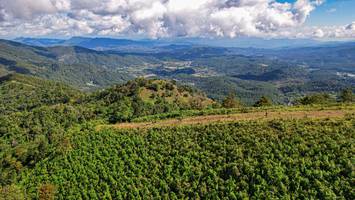 BIB: 
                            <button type="button" onclick="openModal(19369833)" class="btn btn-primary btn-sm float-right btn-popup" data-toggle="modal" data-target=".modal-high-quality">
                        <i class="fas fa-shopping-cart"></i> Add to Cart
                    </button>
                                            <button type="button" onclick="isThisMe(19369833, true)" class="btn btn-success btn-sm float-right btn-popup btn-isme hidden" data-toggle="tooltip" data-placement="bottom" title="นี่คือรูปของคุณใช่ไหม คลิกที่นี่เพื่อเอาเข้าอัลบั้ม">
                        <i class="fas fa-plus"></i> Add to album
                    </button>
                    <button type="button" onclick="isThisMe(19369833, false)" class="btn btn-warning btn-sm float-right btn-popup btn-isnotme hidden">
                        <i class="fas fa-ban"></i> Remove from album
                    </button>